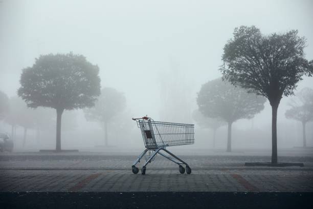 carrito solitario carrito abandonado ecommerce